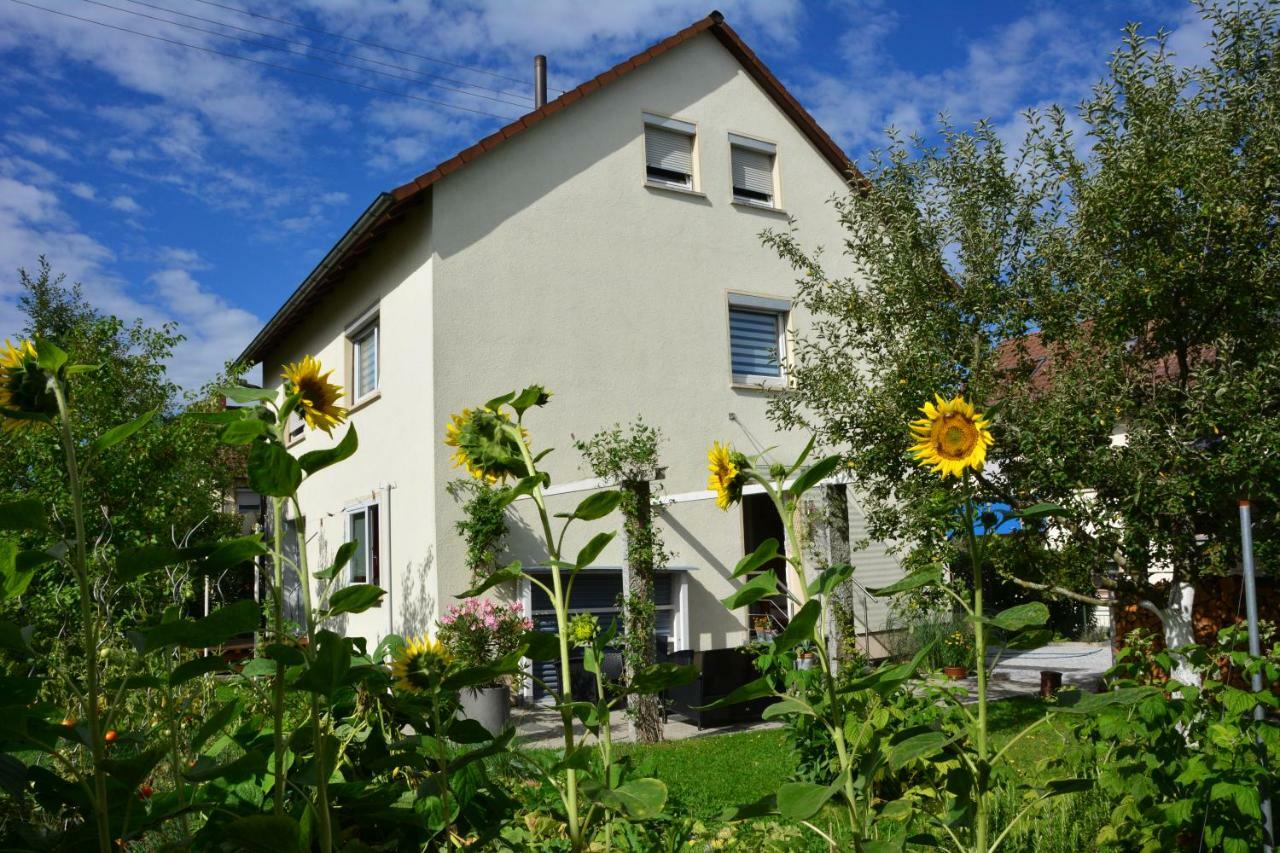 Ferienwohnung - Damisa House Metzingen  Eksteriør billede